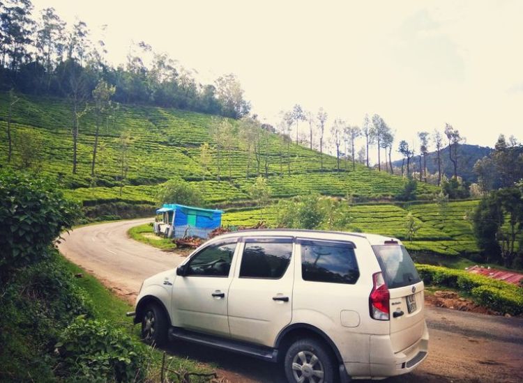 Dindigul taxi services